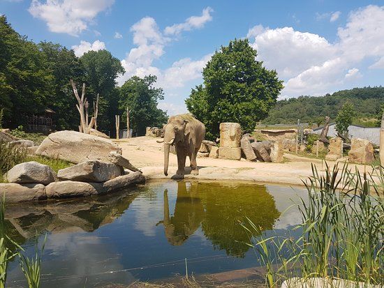 Prag Hayvanat Bahçesi